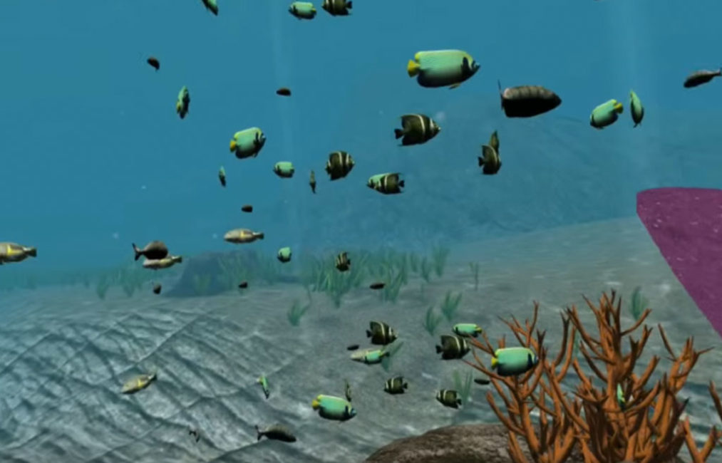 VR Environmental Education Ocean